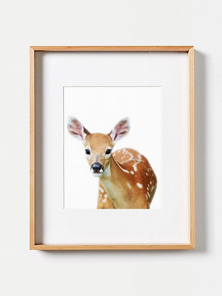 Baby Deer PosterPosterMARY & FAPMARY & FAP