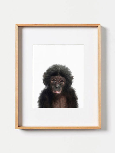 Mysterious Monkey Artwork featuring a mix of dark and lighter shades.