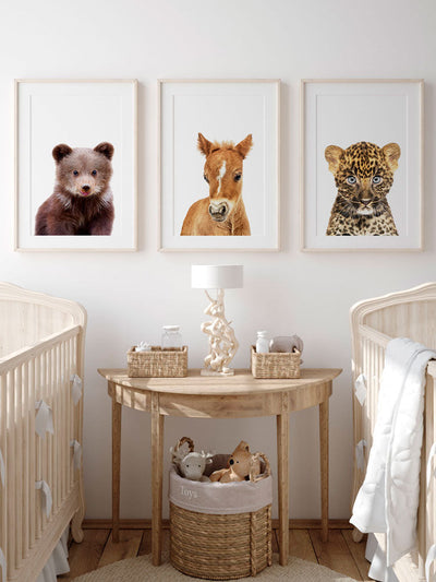 Baby Bear Poster, Poster, $10 - $50, 12*16" in, 12*18" in, 16*20" in, 18*24" in, 8*10" in, _tab_product-description-matte, _tab_shipping-and-returns, _tab_size-chart, ALL POSTERS, Baby Animals, Brown, Kids,