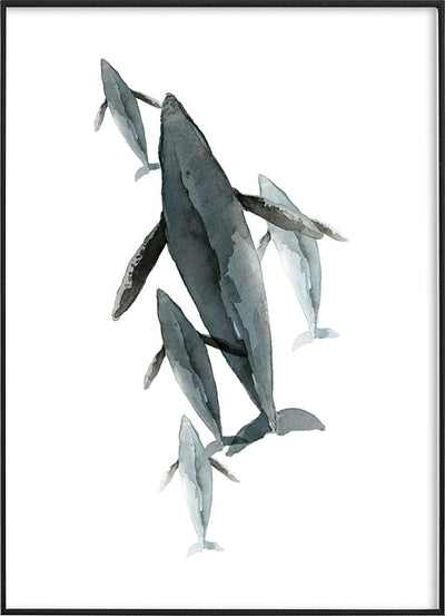 WATERCOLOR WHALE POSTERPosterMARY & FAPMARY & FAP