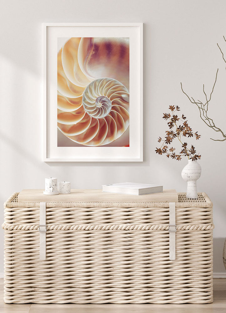 Nautilus shell N2 posterPosterMARY & FAPMARY & FAP