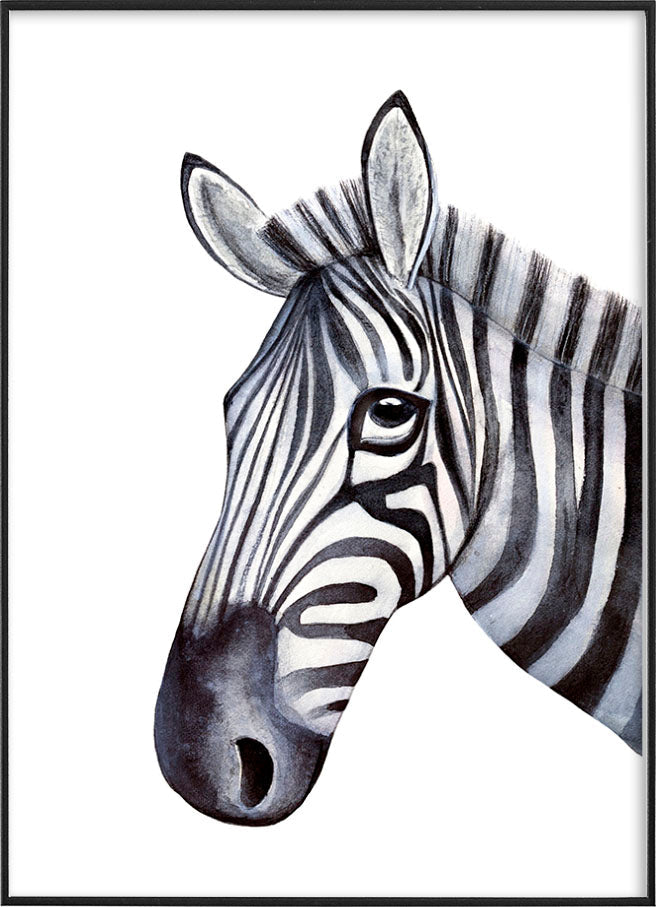 WATERCOLOR ZEBRA POSTERPosterMARY & FAPMARY & FAP