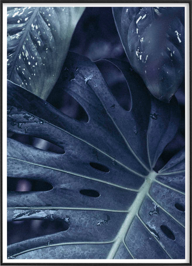 Monstera leaves posterPosterMARY & FAPMARY & FAP