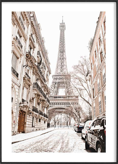 PARIS IN WINTERPosterMARY & FAPMARY & FAP