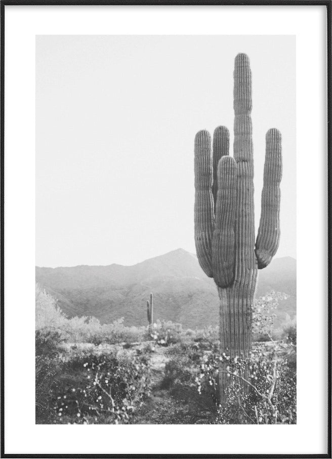 BLACK AND WHITE CACTI POSTERPosterFinger Art PrintsMARY & FAP