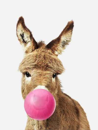 Nursery Donkey  with bubble gumPosterMARY & FAPMARY & FAP