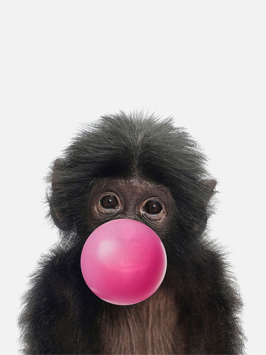 Nursery monkey with bubble gumPosterMARY & FAPMARY & FAP