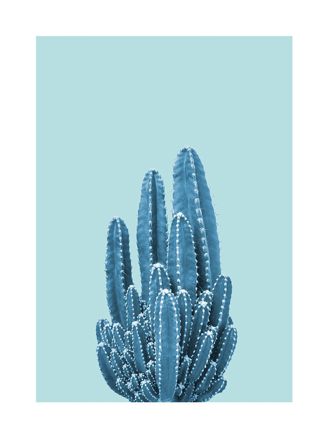 cacti posterPosterMARY&FAPMARY & FAP