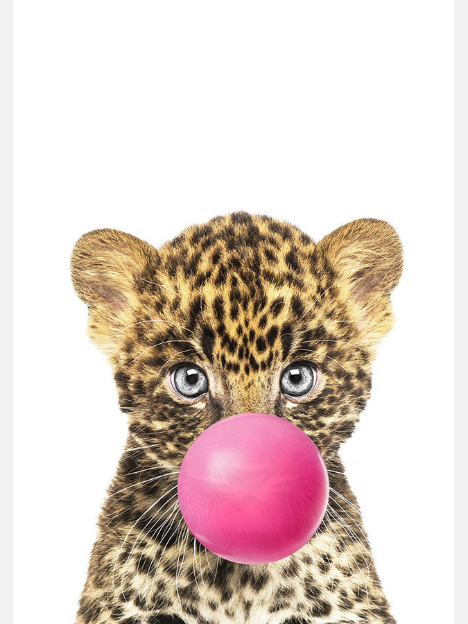 baby leopard with bubble gum, Poster, 0? - 50?, A4 (21 x 29.7 cm), A3 (29.7 x 42 cm), A3+ (32.9 x 48.3 cm), 8*10" in, _tab_product-description-matte, _tab_shipping-and-returns, _tab_size-chart, ALL POSTERS, Baby Animals, 