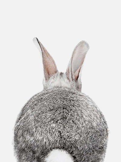 Baby Bunny Butt Poster, Poster, $10 - $50, 12*16" in, 12*18" in, 16*20" in, 18*24" in, 8*10" in, _tab_product-description-matte, _tab_shipping-and-returns, _tab_size-chart, ALL POSTERS, Kids, PORTRAIT, Whit
