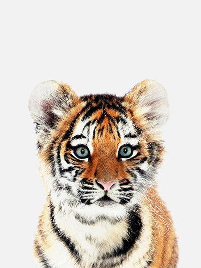 Baby Tiger Poster, Poster, $10 - $50, 12*16" in, 12*18" in, 16*20" in, 18*24" in, 8*10" in, _tab_product-description-matte, _tab_shipping-and-returns, _tab_size-chart, ALL POSTERS, Kids, PORTRAIT, White - M