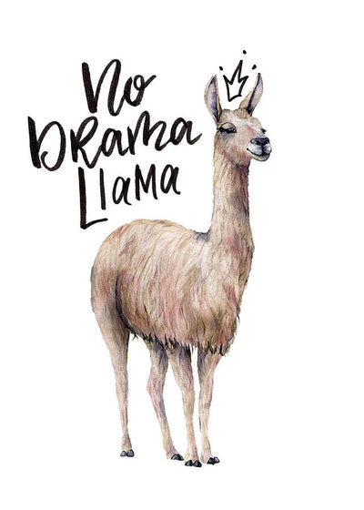 A peaceful llama wearing a crown with the text “No Drama Llama” written in artistic font.