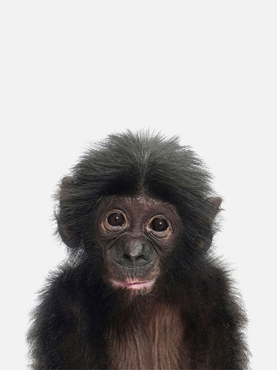 Intriguing artwork of a monkey with an obscured face against a white background.