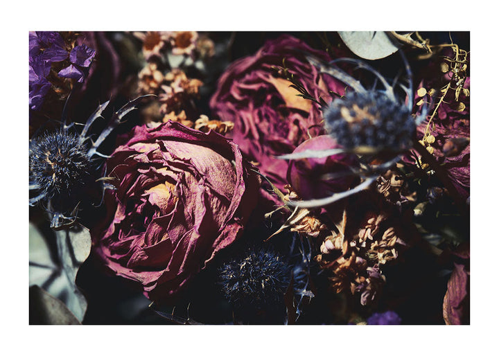 Bouquet Of Dried Flowers, Poster, 0? - 50?, A4 (21 x 29.7 cm), A3 (29.7 x 42 cm), A3+ (32.9 x 48.3 cm), 8*10" in, _tab_product-description-matte, _tab_shipping-and-returns, _tab_shipping-returns, _tab_size-chart, 