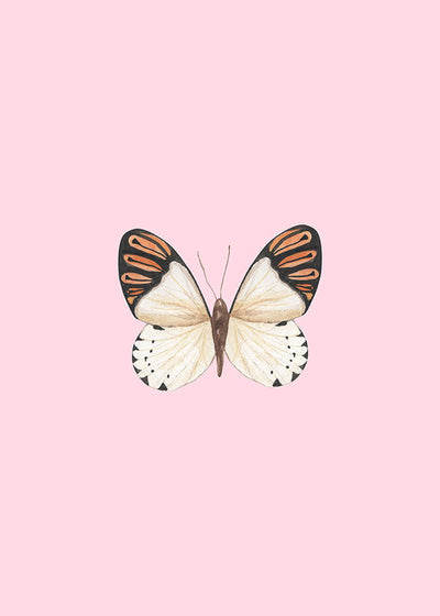 Butterfly Poster #1Posters, Prints, & Visual ArtworkMARY&FAPMARY & FAP