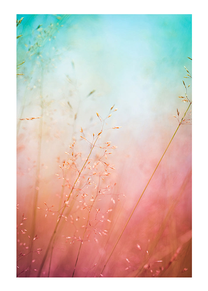 Colorful Autumn Grass PosterPosterMARY&FAPMARY & FAP