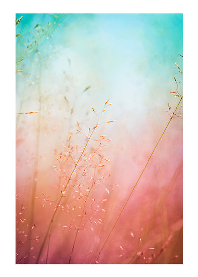 Colorful Autumn Grass PosterPosterMARY&FAPMARY & FAP
