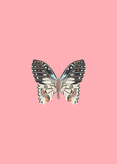 Butterfly Poster #2Posters, Prints, & Visual ArtworkMARY&FAPMARY & FAP