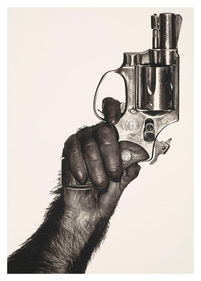 MONKEY WITH GUNPosterFinger Art PrintsMARY & FAP